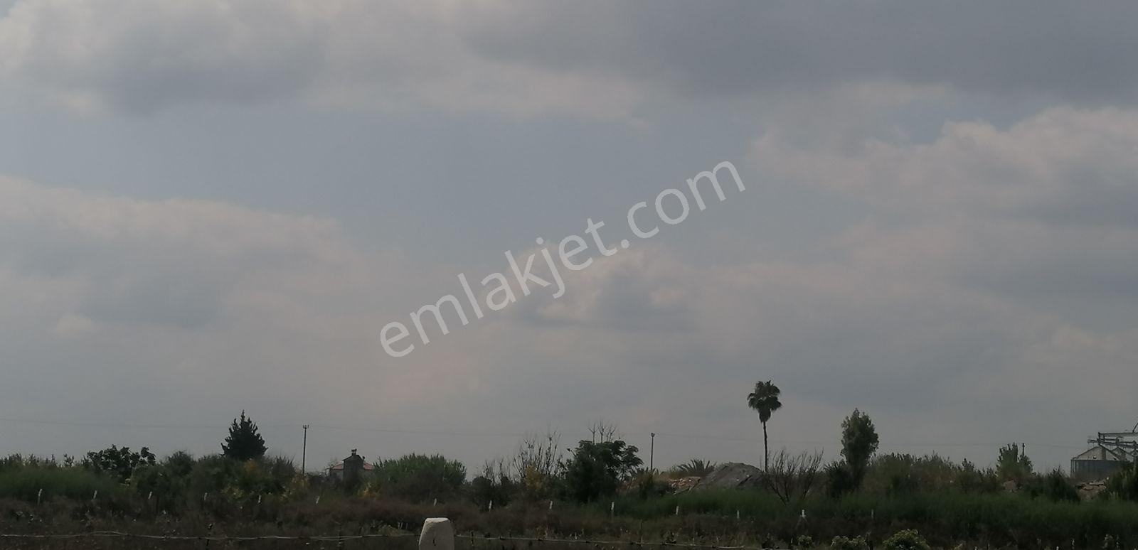 Fa Emlaktan Mahmutağa'da Yatırımlık Satılık 24 Dönüm Tarla — fotoğraf 4