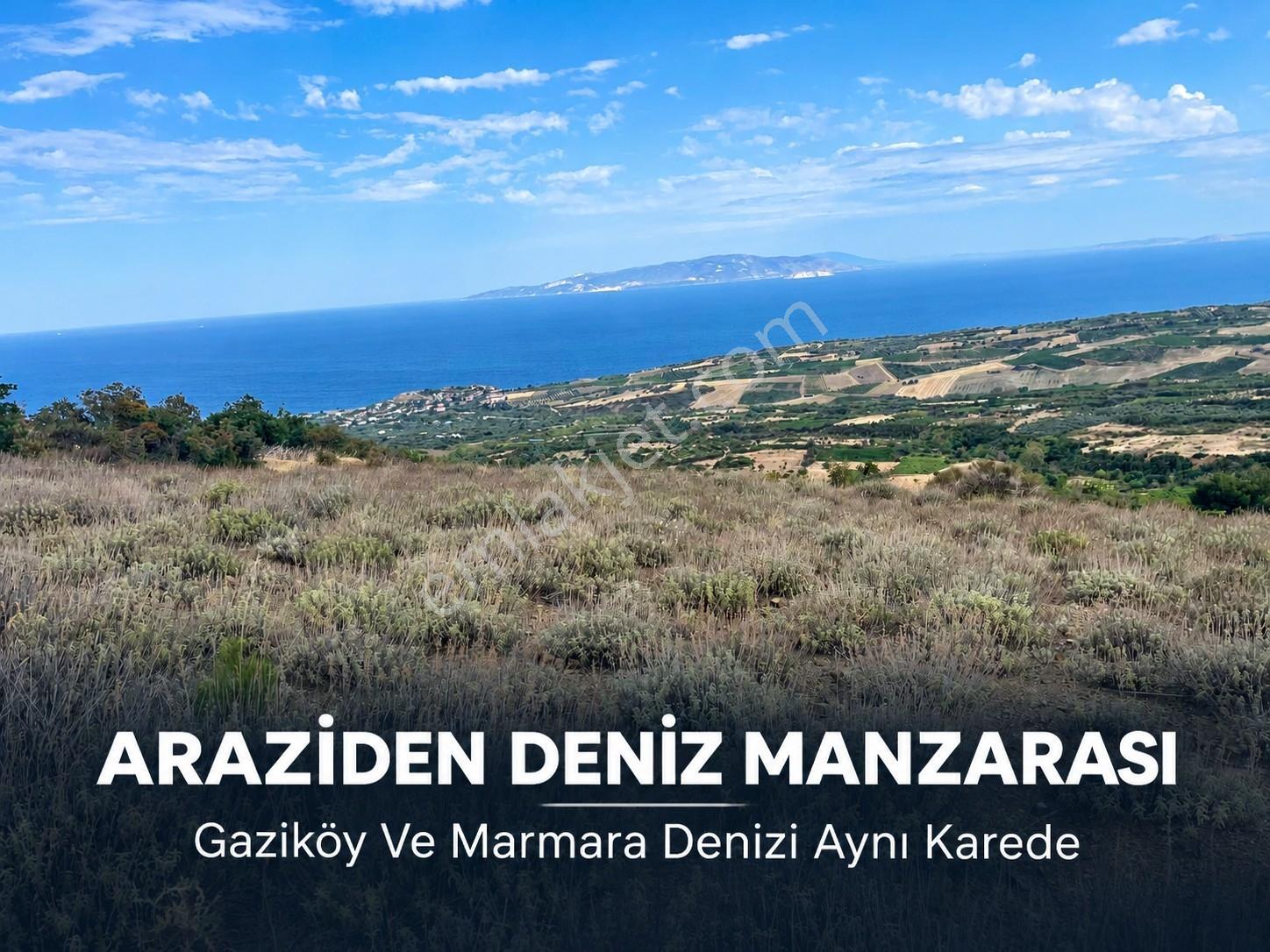 Şarköy Gaziköyde Deniz Manzaralı 9.266 M² Tek Tapu Arazi — fotoğraf 2