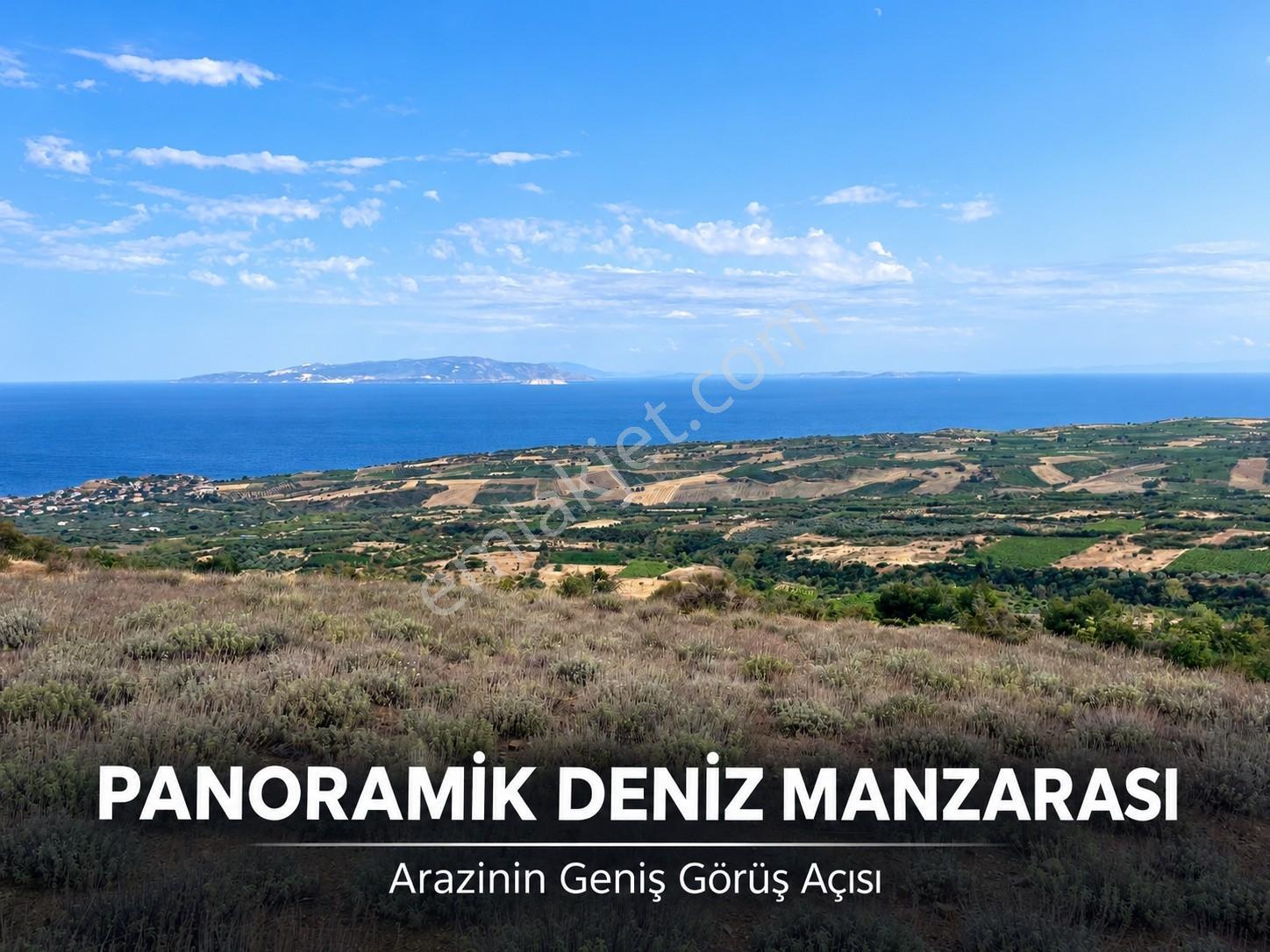 Şarköy Gaziköyde Deniz Manzaralı 9.266 M² Tek Tapu Arazi — fotoğraf 3
