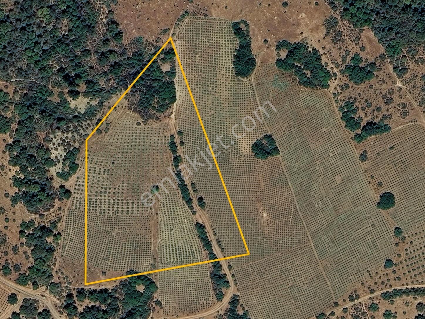 Şarköy Gaziköyde Deniz Manzaralı 9.266 M² Tek Tapu Arazi — fotoğraf 8
