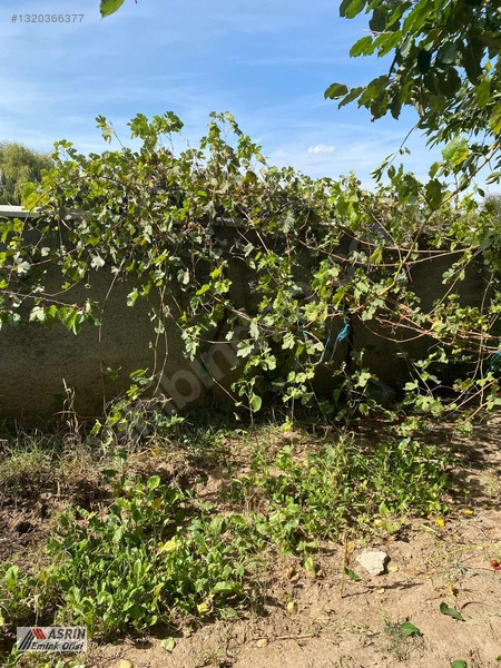 Asrın Emlak'tan Karşıyaka Mh.satılık 600 Mt Arsalı Müstakil Ev — fotoğraf 7