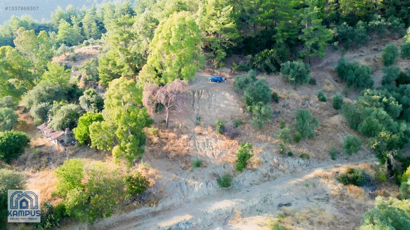 Muğla Ula Elmalı'Da 600M² Satılık Tarla