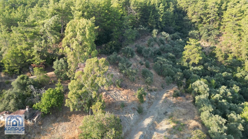 Muğla Ula Elmalı'da 600m² Satılık Tarla — fotoğraf 2