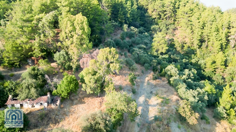 Muğla Ula Elmalı'da 600m² Satılık Tarla — fotoğraf 3