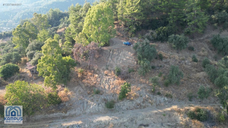 Muğla Ula Elmalı'da 600m² Satılık Tarla — fotoğraf 5