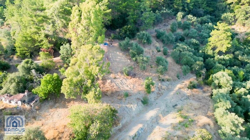 Muğla Ula Elmalı'da 600m² Satılık Tarla — fotoğraf 6