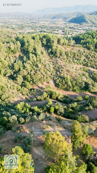 Muğla Ula Elmalı'da 600m² Satılık Tarla — fotoğraf 9