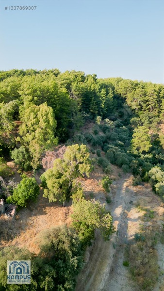 Muğla Ula Elmalı'da 600m² Satılık Tarla — fotoğraf 13