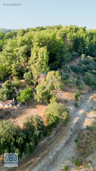 Muğla Ula Elmalı'da 600m² Satılık Tarla — fotoğraf 14