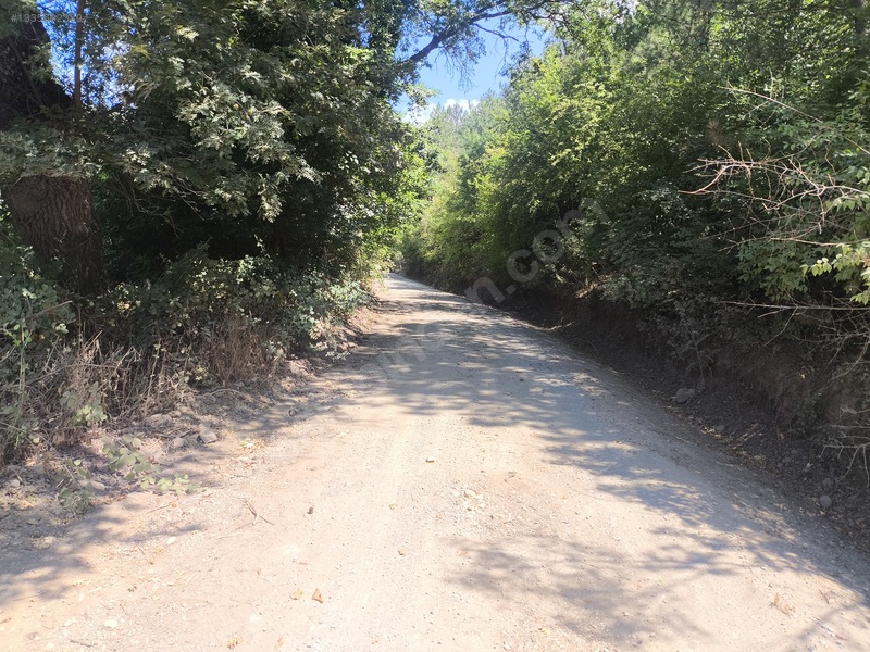 Balya Kaya Emlak.Balya Müstecap Mahallesi 5700 M2 Tarla