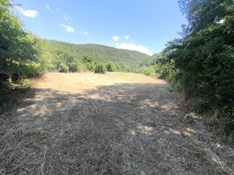 Balya Kaya Emlak.balya Müstecap Mahallesi 5700 M2 Tarla — fotoğraf 2