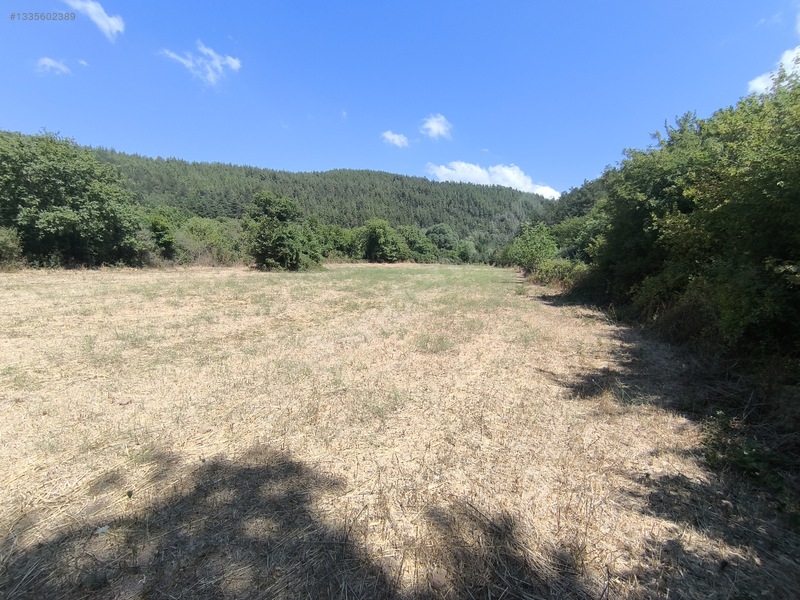 Balya Kaya Emlak.balya Müstecap Mahallesi 5700 M2 Tarla — fotoğraf 3
