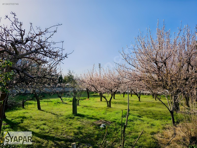 İşyapar'dan Buhara Mah. 2 Kata İmarlı 1844 M² Köşe Parsel Arsa — fotoğraf 11