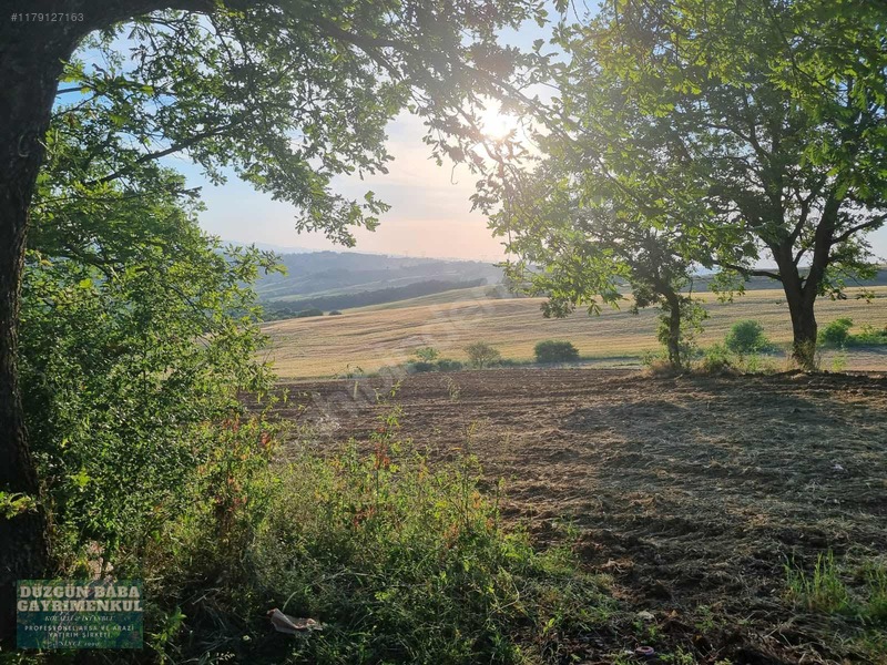 Düzgün Babadan Ana Asfalt Cephe Kocaeli Üniversitesine 7 Dakika — fotoğraf 13