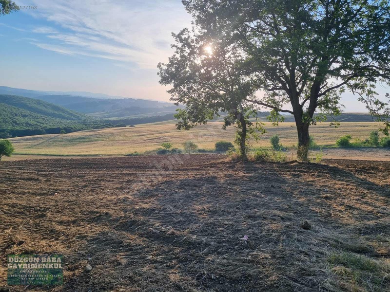 Düzgün Babadan Ana Asfalt Cephe Kocaeli Üniversitesine 7 Dakika — fotoğraf 15