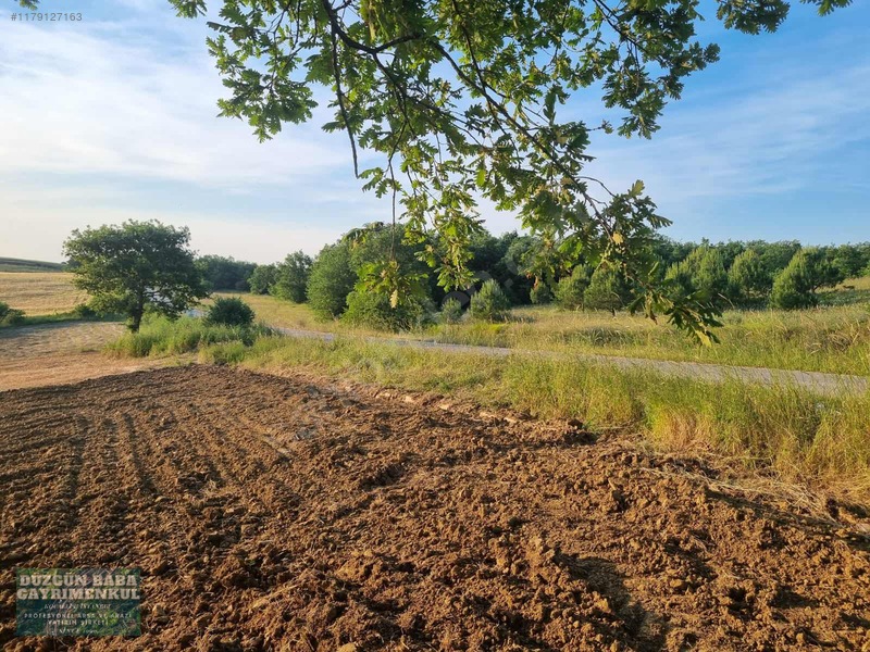 Düzgün Babadan Ana Asfalt Cephe Kocaeli Üniversitesine 7 Dakika — fotoğraf 21