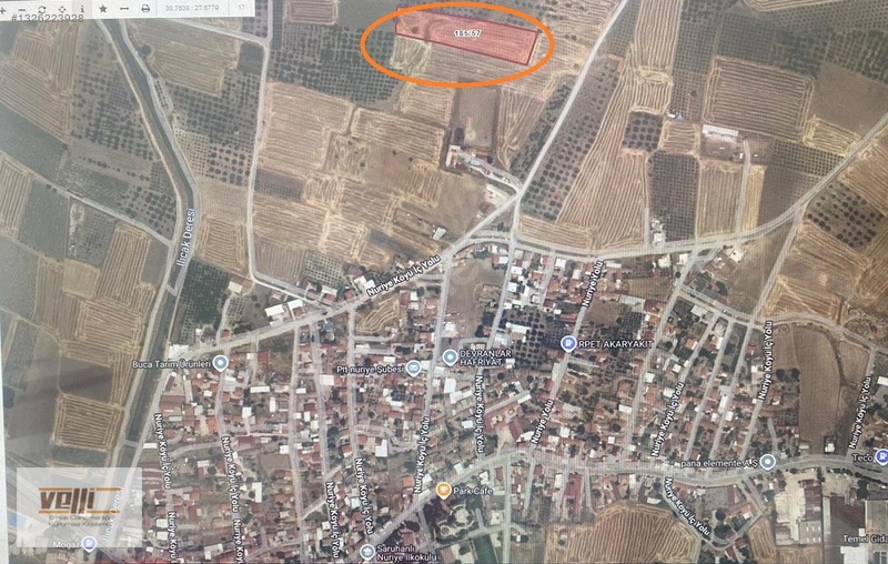 Manisa Saruhanlı Nuriye' De Satılık Tarla Velli' Den