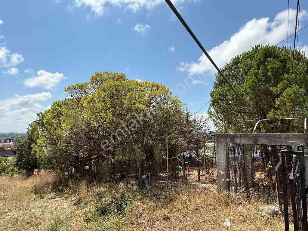 Arnavutköy’de 1050 M² Arsa Üzerinde 5+1 Eşyalı, 4 Cepheli Müstakil Villa | Boş & Tapulu — fotoğraf 11