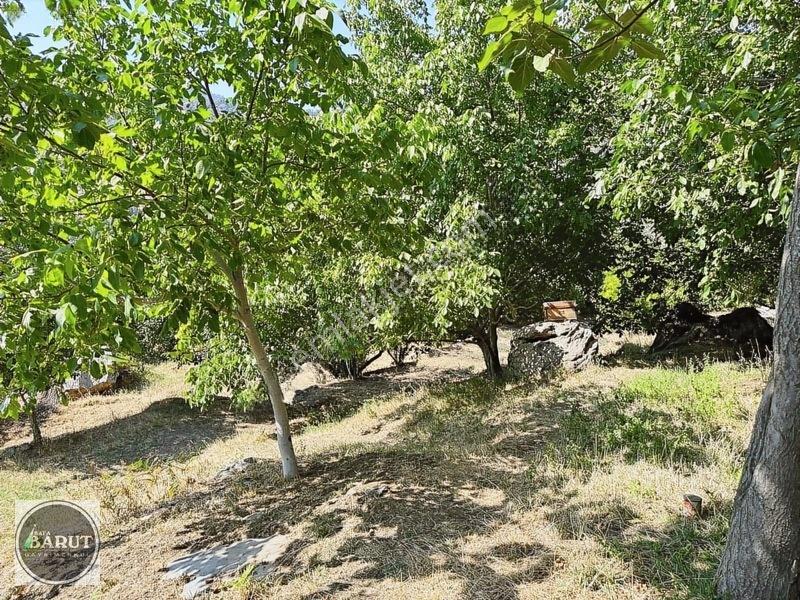 Milas Selimiye Narhisar Köyünde Kelepir Fiyata Hobi Bahçesi — fotoğraf 3
