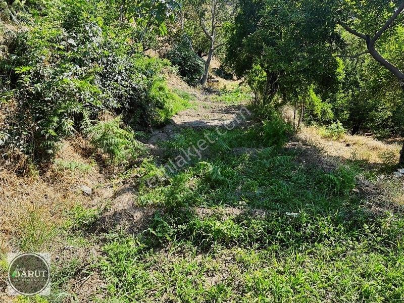 Milas Selimiye Narhisar Köyünde Kelepir Fiyata Hobi Bahçesi — fotoğraf 4