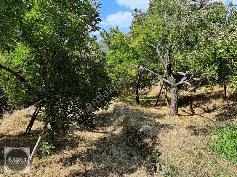 Milas Selimiye Narhisar Köyünde Kelepir Fiyata Hobi Bahçesi — fotoğraf 5