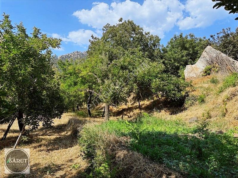 Milas Selimiye Narhisar Köyünde Kelepir Fiyata Hobi Bahçesi — fotoğraf 8