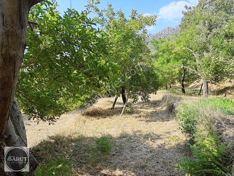 Milas Selimiye Narhisar Köyünde Kelepir Fiyata Hobi Bahçesi — fotoğraf 9