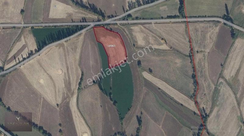 Suşehri Beydeğirmeninde D100e Yakın 5.990 M² Yolu Mevcut Tarla — fotoğraf 2