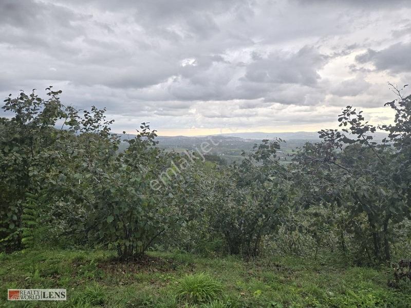 Sakarya Erenler Şükriyede Panoramik Sakarya Manzaralı Arazi!!