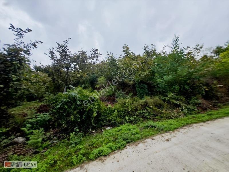Sakarya Erenler Şükriyede Panoramik Sakarya Manzaralı Arazi!! — fotoğraf 3