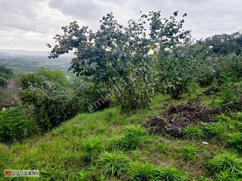 Sakarya Erenler Şükriyede Panoramik Sakarya Manzaralı Arazi!! — fotoğraf 6