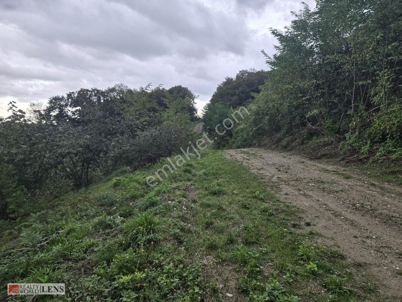Sakarya Erenler Şükriyede Panoramik Sakarya Manzaralı Arazi!! — fotoğraf 11