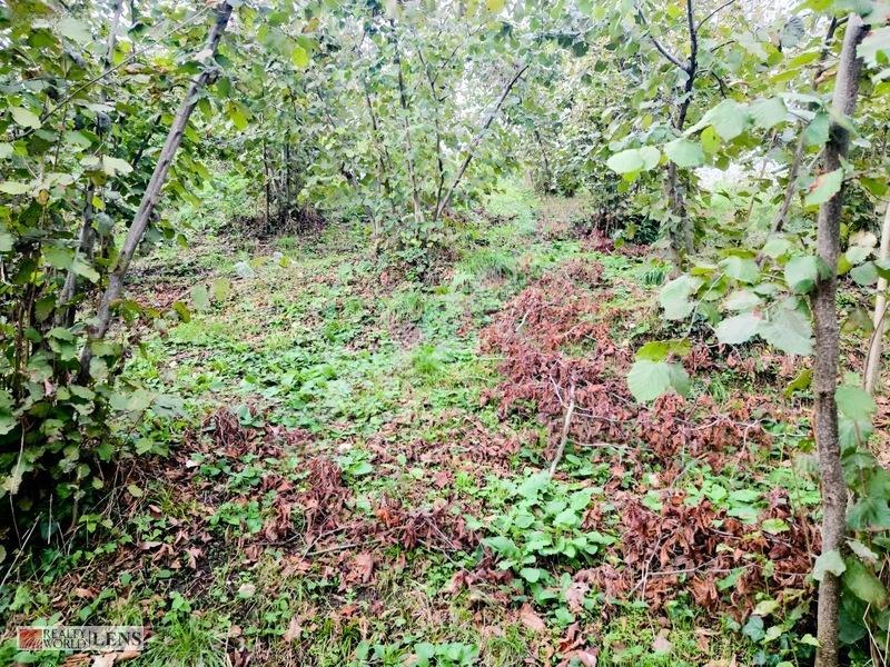 Sakarya Erenler Şükriyede Panoramik Sakarya Manzaralı Arazi!! — fotoğraf 16