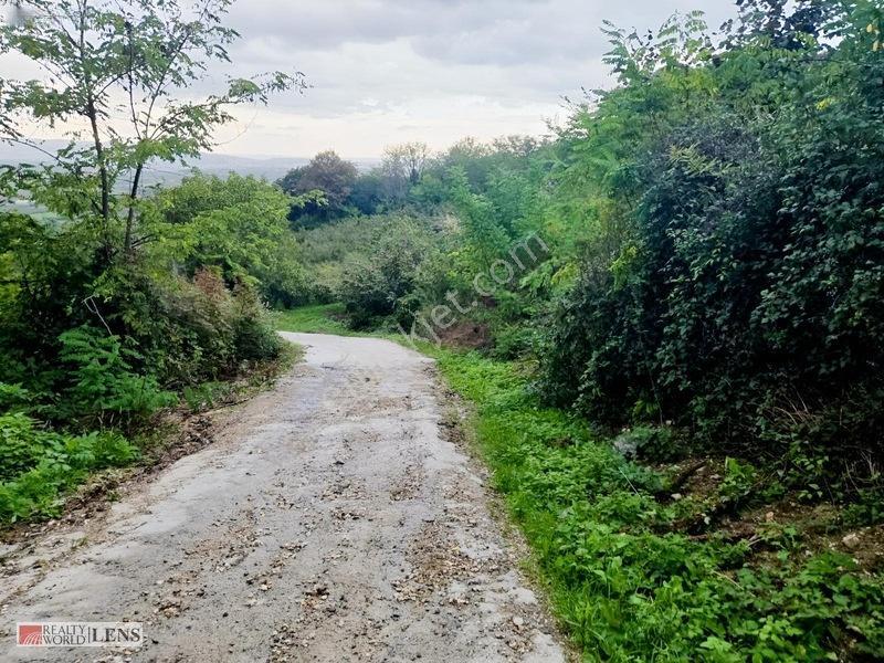 Sakarya Erenler Şükriyede Panoramik Sakarya Manzaralı Arazi!! — fotoğraf 18