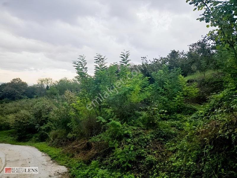 Sakarya Erenler Şükriyede Panoramik Sakarya Manzaralı Arazi!! — fotoğraf 21