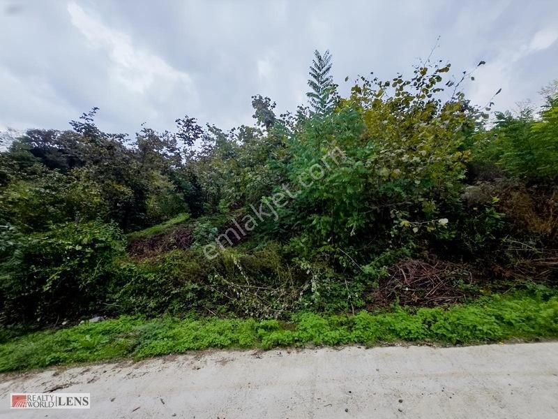 Sakarya Erenler Şükriyede Panoramik Sakarya Manzaralı Arazi!! — fotoğraf 22