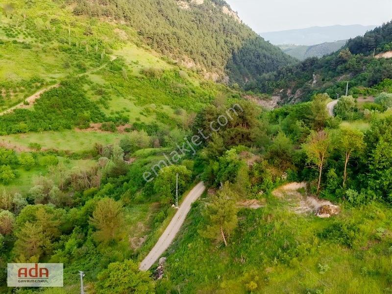 Ada Gayrimenkul Geyve Melekşesolak Mah. 1230m2 Kupon Arazi — fotoğraf 2