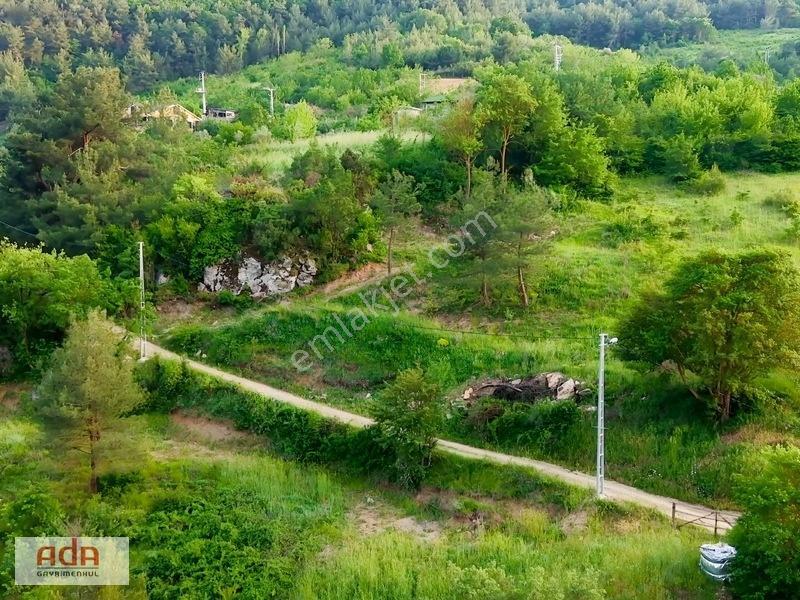 Ada Gayrimenkul Geyve Melekşesolak Mah. 1230m2 Kupon Arazi — fotoğraf 3
