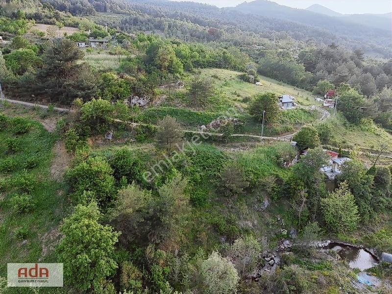 Ada Gayrimenkul Geyve Melekşesolak Mah. 1230m2 Kupon Arazi — fotoğraf 4