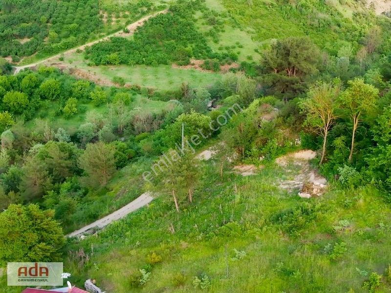 Ada Gayrimenkul Geyve Melekşesolak Mah. 1230m2 Kupon Arazi — fotoğraf 5