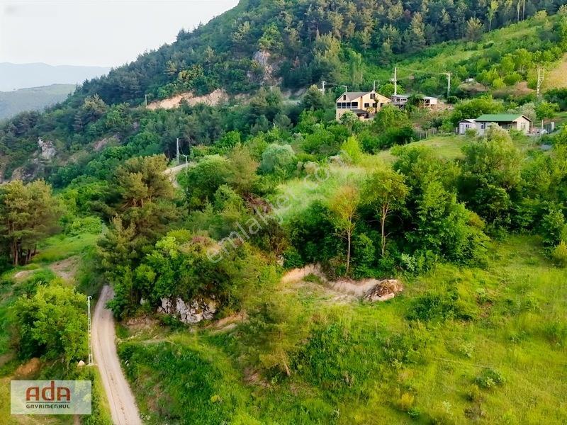 Ada Gayrimenkul Geyve Melekşesolak Mah. 1230m2 Kupon Arazi — fotoğraf 6