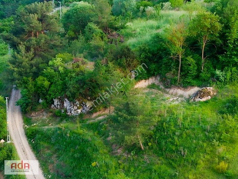 Ada Gayrimenkul Geyve Melekşesolak Mah. 1230m2 Kupon Arazi — fotoğraf 7