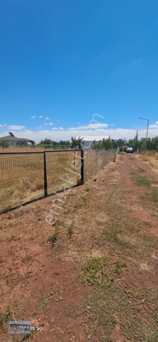 Hisar'dan Gölbaşı Topaklı Havuzlu Bağ Sitsi 500 M2 Hobi Bahçesi — fotoğraf 4