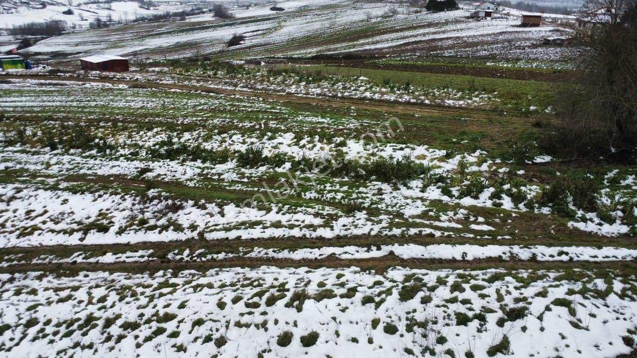Kocaeli Kandıra Balcı Mah. 231 M2 Satılık Arsa