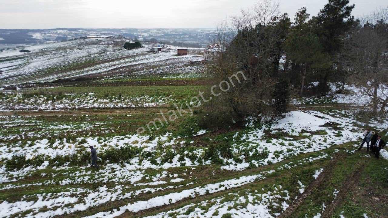 Kocaeli Kandıra Balcı Mah. 231 M2 Satılık Arsa — fotoğraf 5