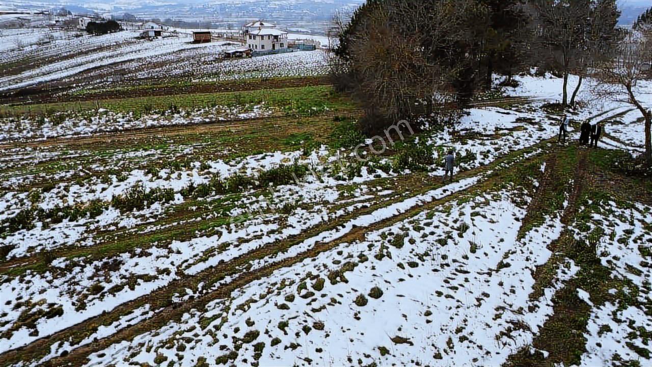 Kocaeli Kandıra Balcı Mah. 231 M2 Satılık Arsa — fotoğraf 6