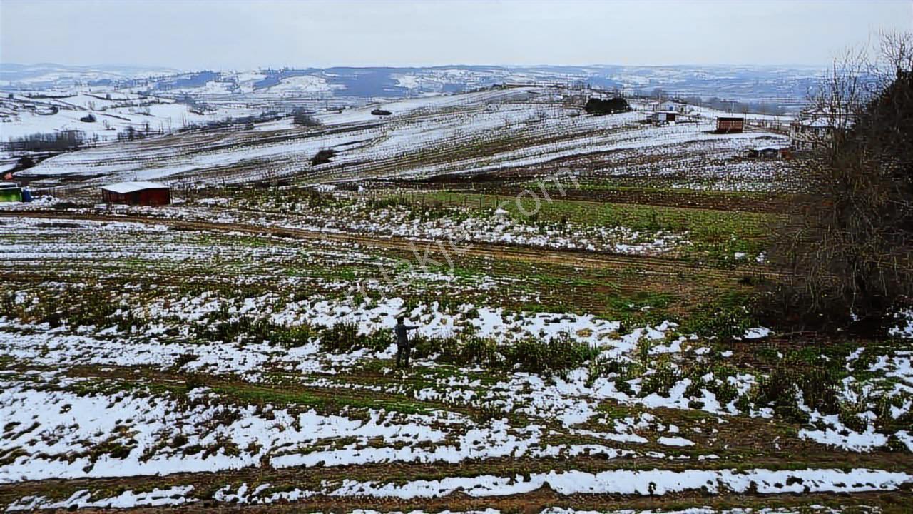 Kocaeli Kandıra Balcı Mah. 231 M2 Satılık Arsa — fotoğraf 8