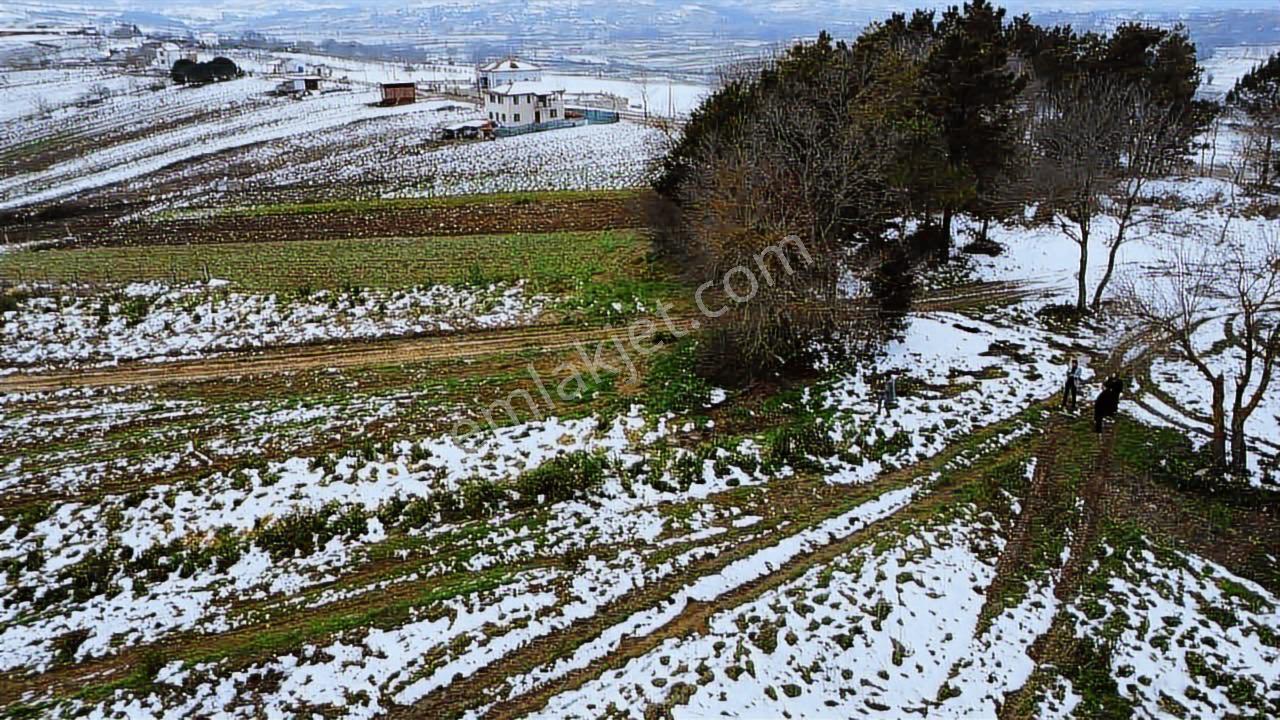 Kocaeli Kandıra Balcı Mah. 231 M2 Satılık Arsa — fotoğraf 11