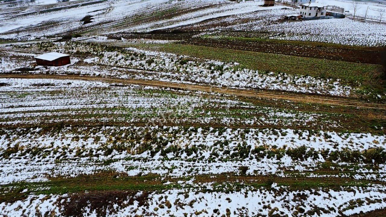 Kocaeli Kandıra Balcı Mah. 231 M2 Satılık Arsa — fotoğraf 15