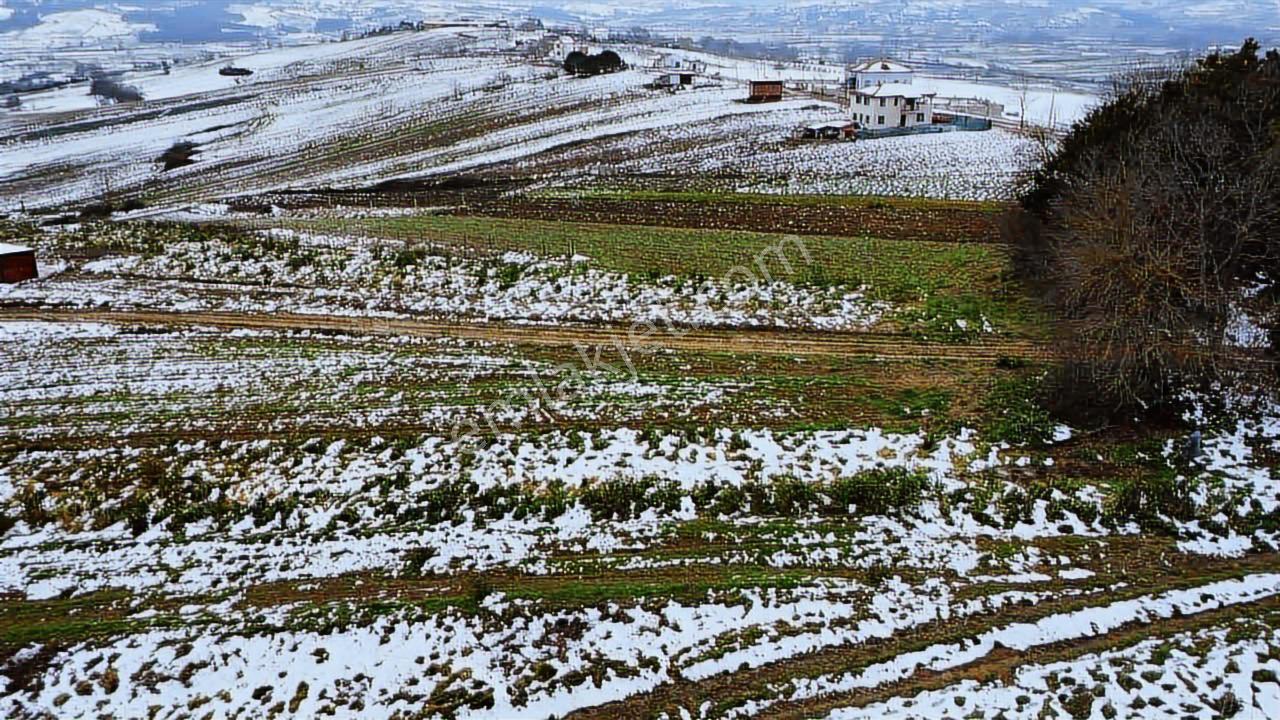 Kocaeli Kandıra Balcı Mah. 231 M2 Satılık Arsa — fotoğraf 17